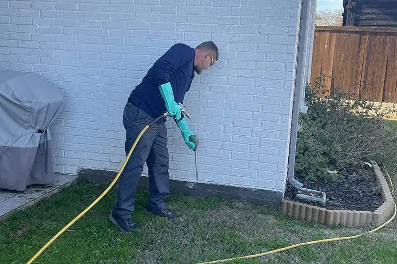pest services